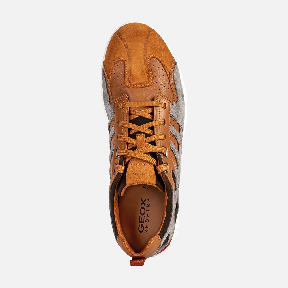 Basket Geox Snake.2 - Orange/Grise - Homme 629841-BVX